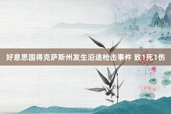 好意思国得克萨斯州发生沿途枪击事件 致1死1伤