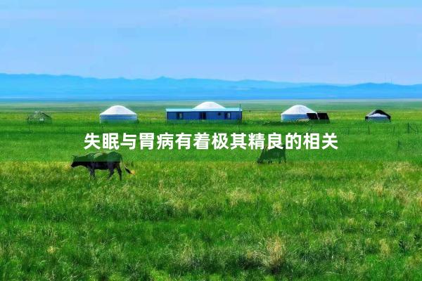 失眠与胃病有着极其精良的相关
